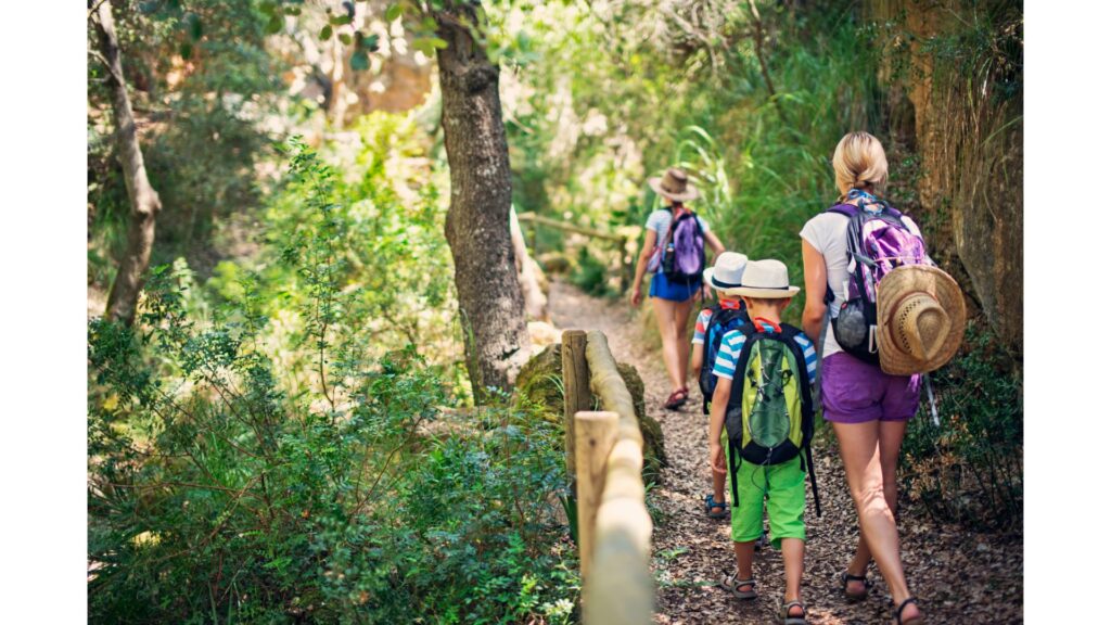 Taking advantage of some of the best Asheville NC hikes wih the entire family is all about bonding and having fun together!