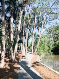 Nature is bursting all over Kiawah Island!