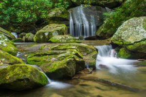 catawba falls