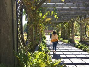 Spring pops with gorgeous blooms at the Gardens at Biltmore!