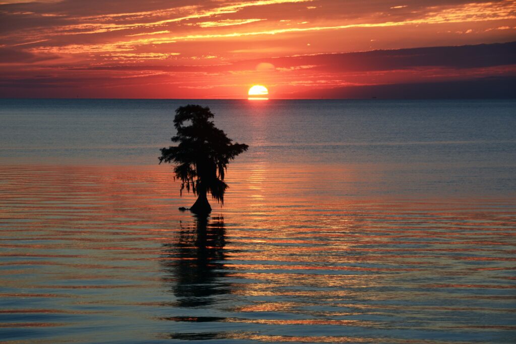 Sunset over a potion of the Great Dismal Swamp