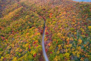 asheville annual weather fall