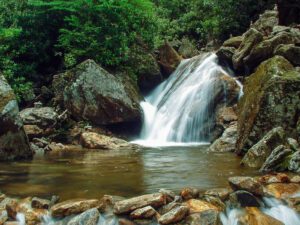 skinny dip falls