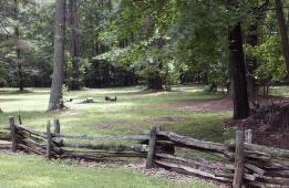 A view of Guilford Courthouse National Military Park- Greensboro Travel Guide