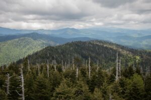 Clingman's Dome