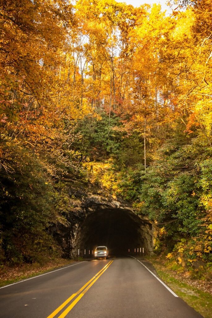 Fall is my favorite time to visit the Blue Ridge Parkway