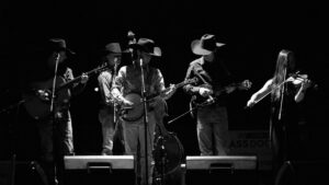 Bluegrass is king here!-Mount Airy events