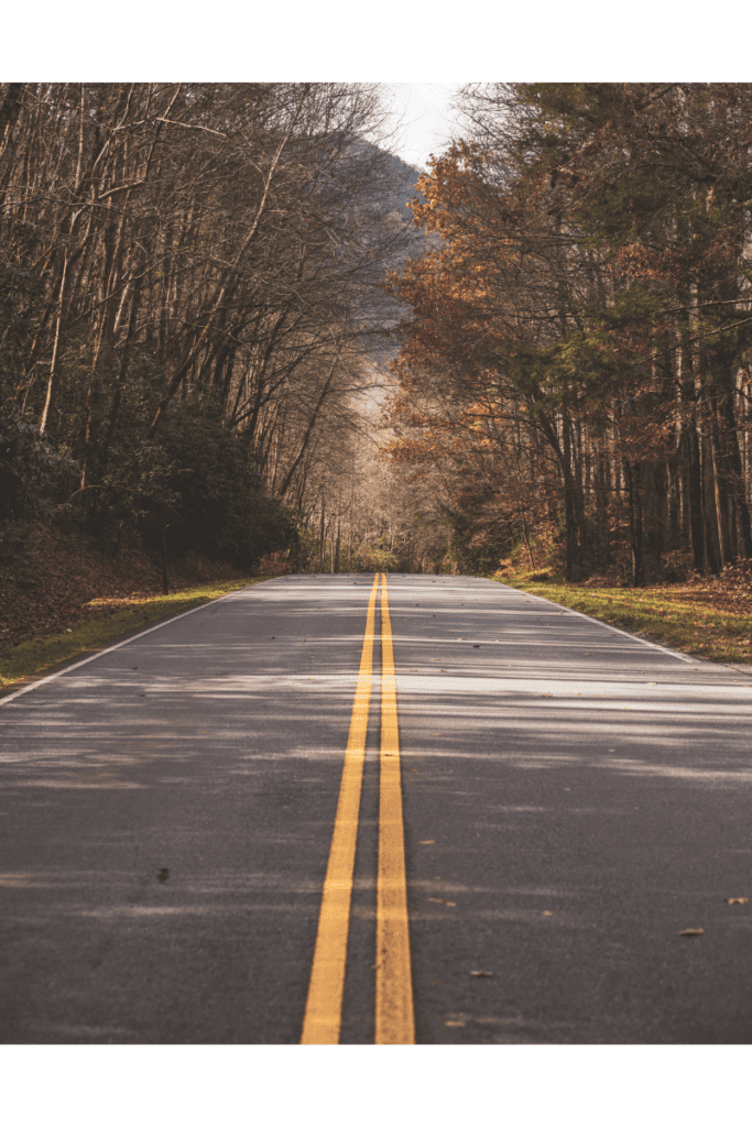 In my humble opinion, the Blue Ridge Parkway is the Ultimate road trip!-North Carolina National Parks