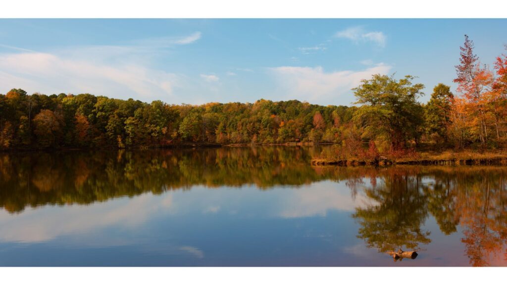 A gorgeous view of the Fall foliage at Falls lake!-Best North Carolina Lakes