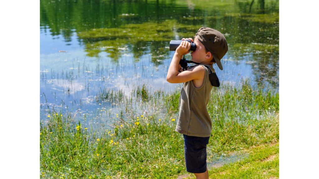 Bird watching is a popular pastime on the shores of Jordan lake!-Best North Carolina Lakes