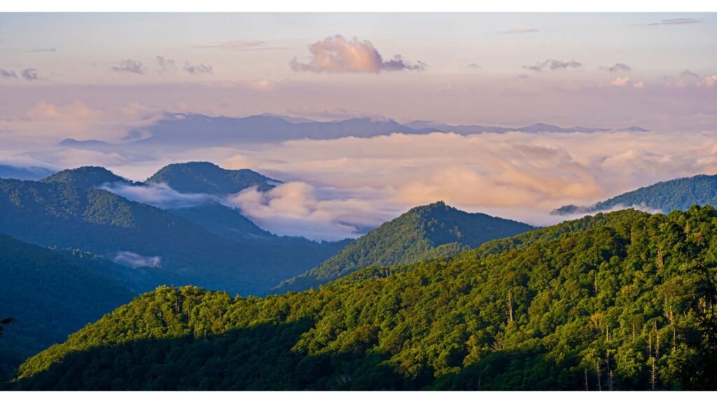 Mid-morning in the Blue Ridge Mountains!-North Carolina National Parks