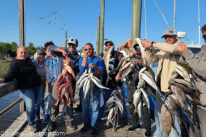 There are different types of Myrtle Beach group fishing charters!