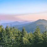 Asheville Annual Weather