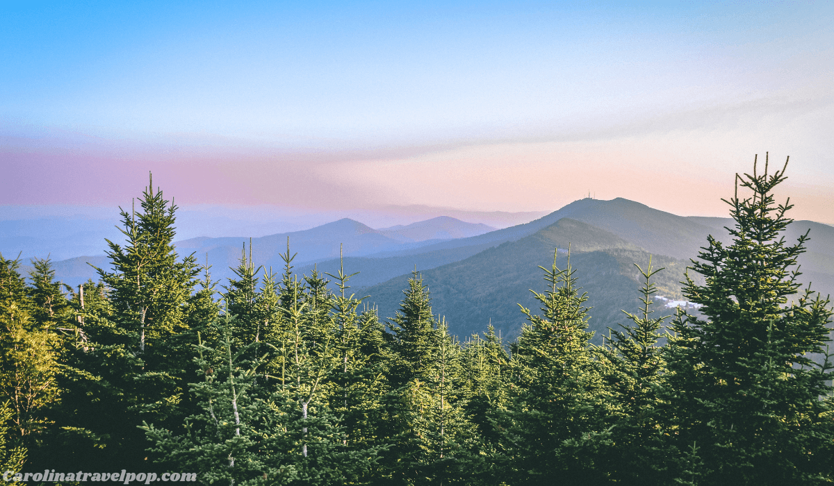 Asheville Annual Weather