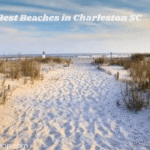 Best Beaches in Charleston SC
