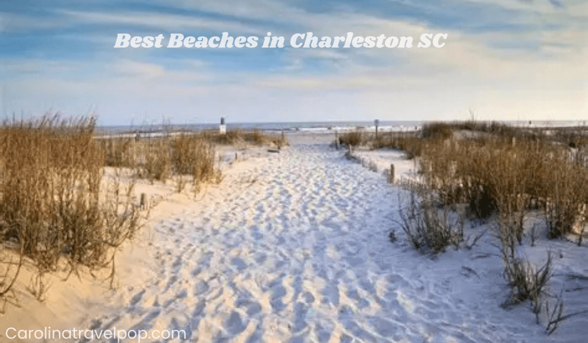 Best Beaches in Charleston SC