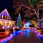 Best Christmas Lights in South Carolina
