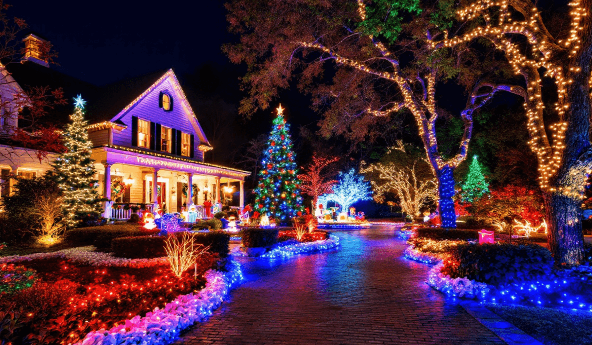 Best Christmas Lights in South Carolina