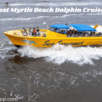 Myrtle Beach Dolphin Cruises
