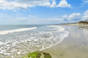 Edisto Beach Island