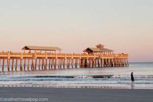 Folly Beach Travel Guide-The Underbelly of Folly Beach Pier
