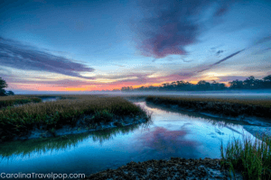 Nature is bursting all over Kiawah Island!