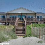Pet Friendly Virginia Beach Oceanfront Hotels