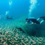 Scuba Diving In North Carolina