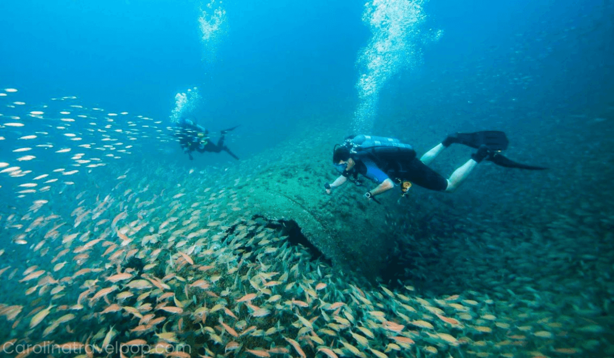 Scuba Diving In North Carolina