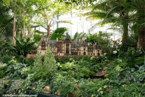 The Conservatory is one of the many unique features of the Biltmore House in Asheville North Carolina!