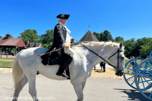 There is so much to do and see in this area!-Williamsburg VA Best Hotels