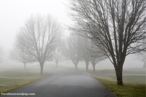 asheville annual weather winter