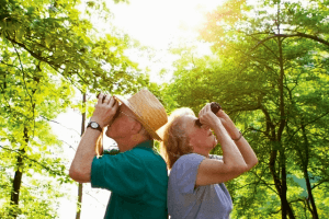 Birdwatch at Harbison State Forest