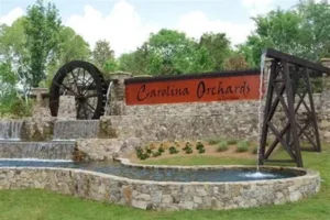 Carolina Orchards
