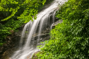 Cascade Falls (Blue Ridge Parkway)