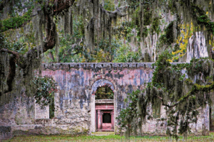 Coastal Discovery Museum