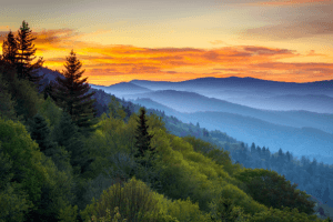 Great Smoky Mountains National Park