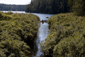 Kayak Through the Marshes
