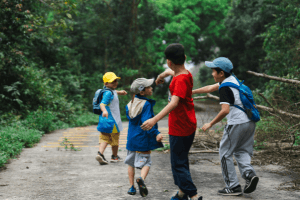 Outdoor Adventures and Nature Spots