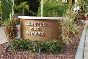 Palmetto Pines