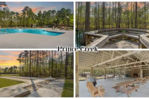 Prince Creek