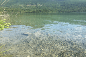 White Lake
